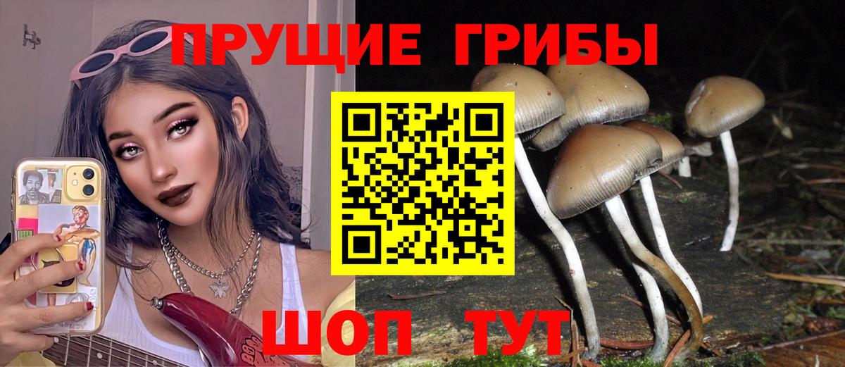 Осинники  Псилоцибиновые грибы Magic Shrooms  Вход с VPN 